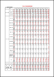 平成24年度診療業務実績